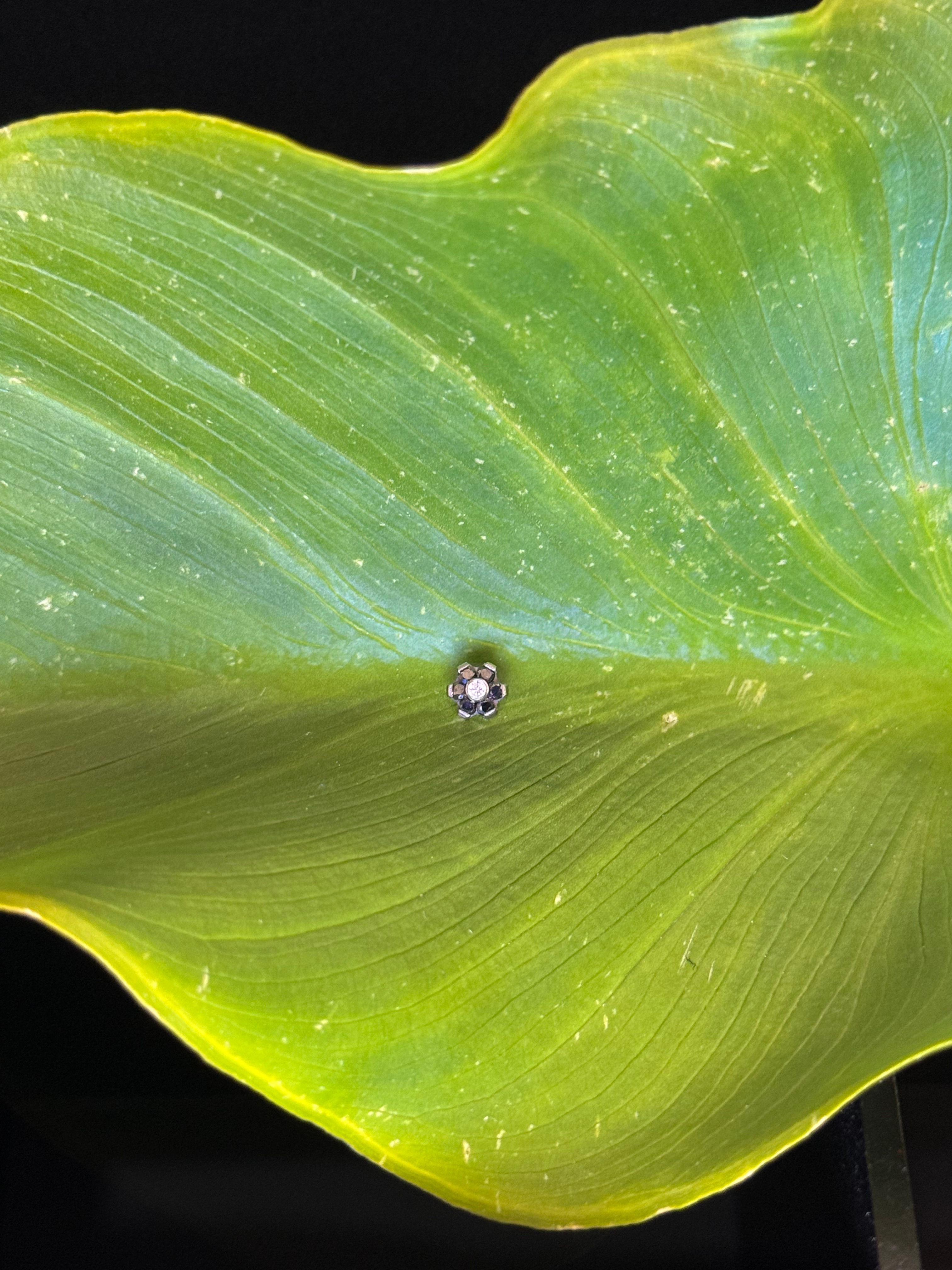 Joyería piercing X78