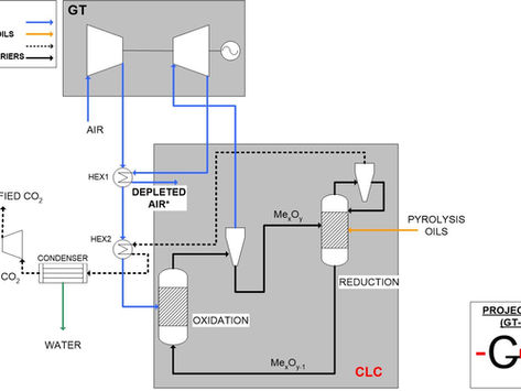 The GTCLC plant description