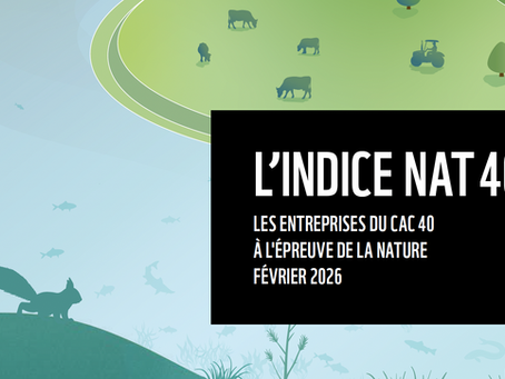 Biodiversité : pourquoi le NAT40 pose une question de gestion, pas seulement de reporting