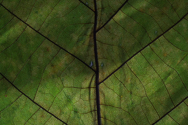 markus-spiske-asdDf-07MFA-unsplash_edite