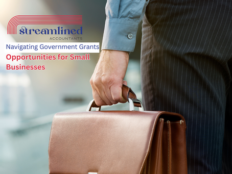 Navigating Government Grants - Opportunities for Small Businesses