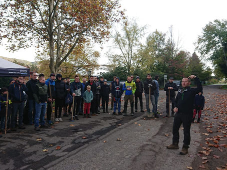 Retour sur : Shape du 11 novembre