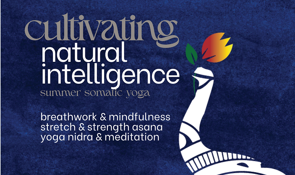 Summer Somatic Yoga - Dunedin 