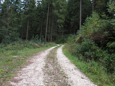 What is Discernment?