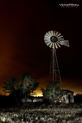 Old Texas