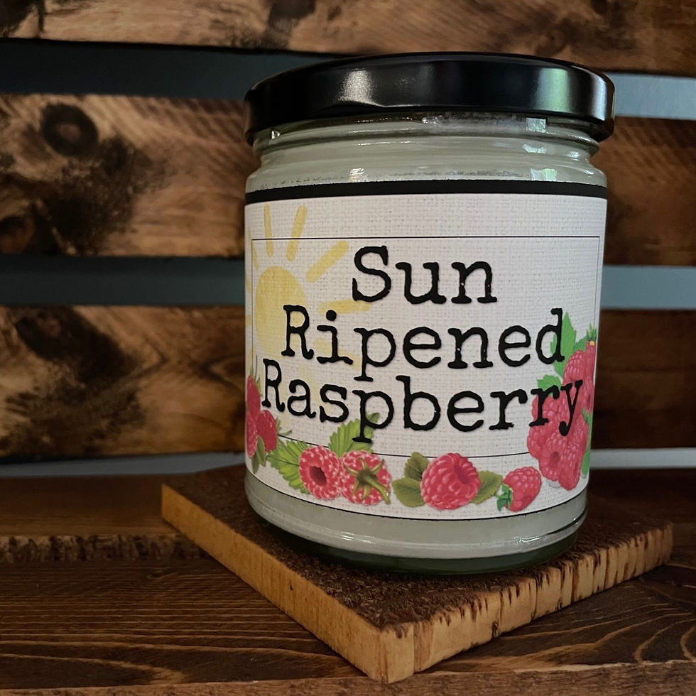 Wooden Wick Soy Candles, Wax Melts & Gifts Kingston, Ontario Pine