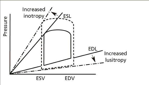 Figure 8.png