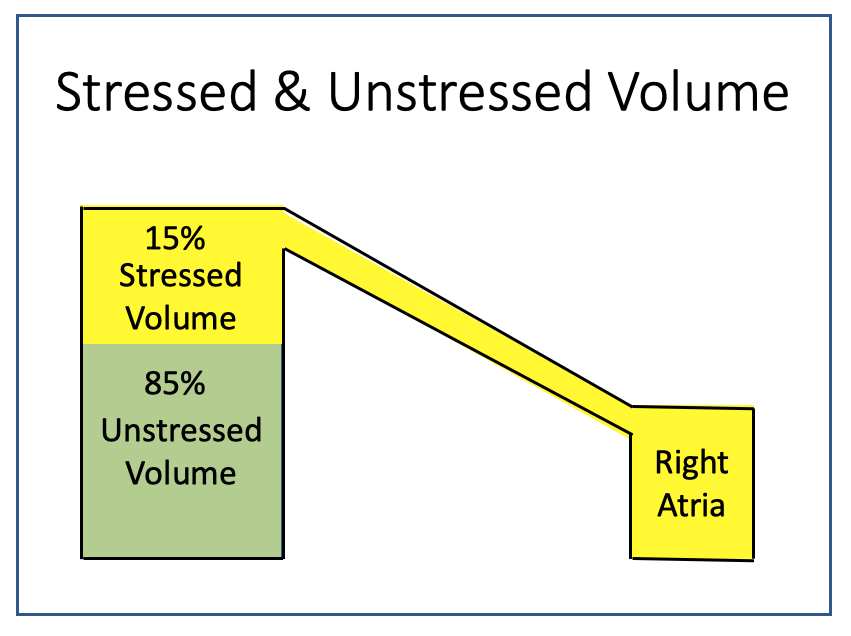 Mean Systemic Filling Pressure Optimizing Venous Return