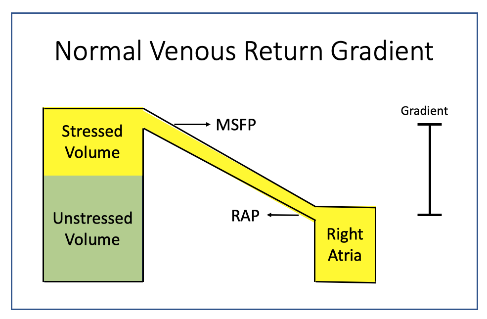 Mean Systemic Filling Pressure Optimizing Venous Return