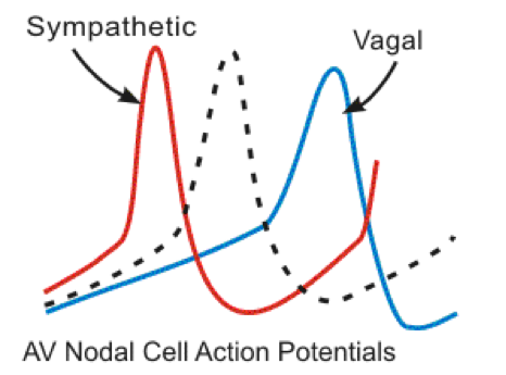 Figure 6.png