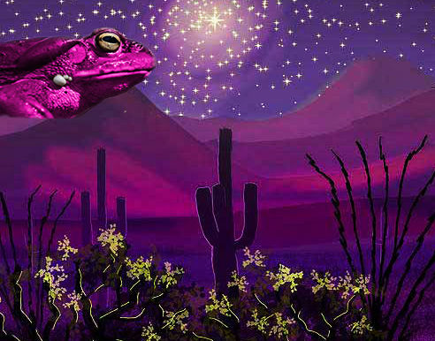 Forbes: 5-MeO-DMT: The 20-Minute Psychoactive Toad Experience That’s Transforming Lives