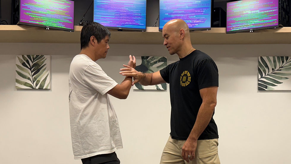 13 Postures Tai Chi & Push Hands Fusion