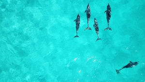 Mon addiction est-elle une vraie maladie ?