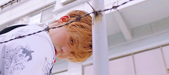 tumblr_27b7d4a586fcdd30e33f0afcbac7da74_ea86b1a0_540.gif