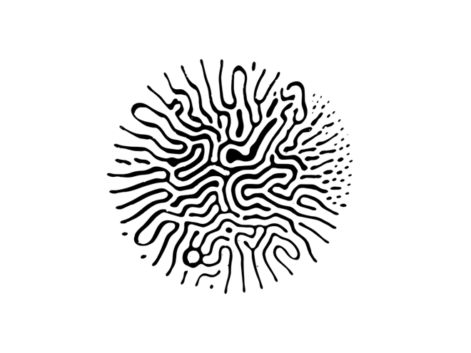9226c44210518a9e183c40668dd03f0d.gif