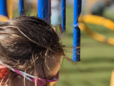 Playing in some of our favorite parks in Rohnert Park.