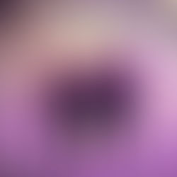 Tägi on Ice Dez 2025