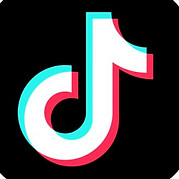 tiktok lgog.jpeg