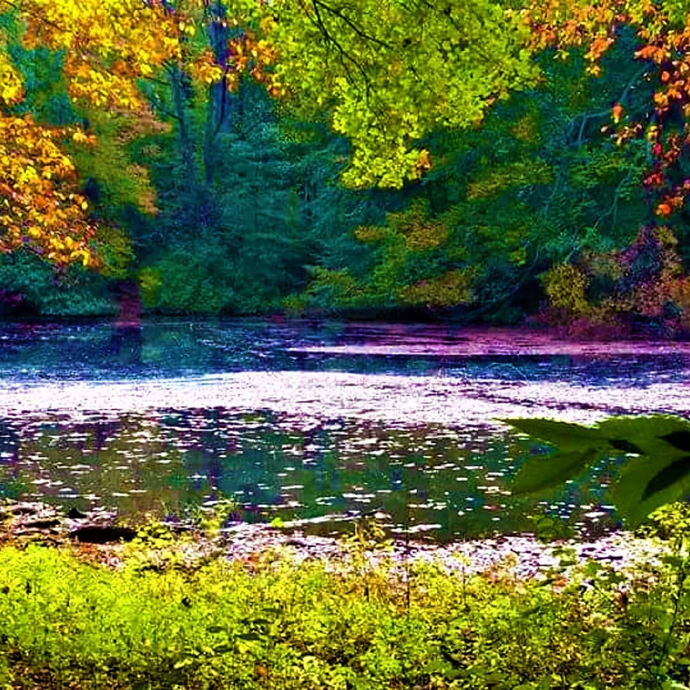 image_6483441 - 2023-09-19T153548.287
