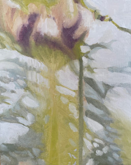 'Dappled nature', oil on panel, £. , Josie Gould.jpeg