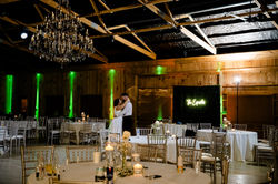 Wedding Greenery Wall