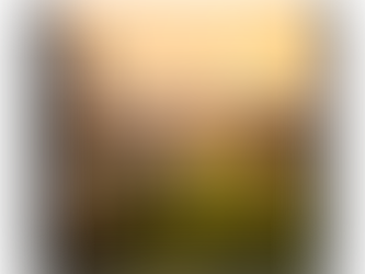 Mastering Digital Marketing: A Guide for Rural Business Owners