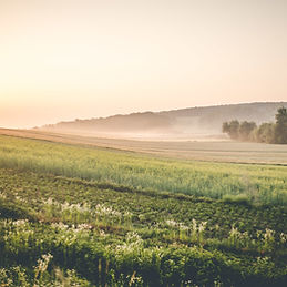 sunrise-farmland