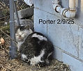 PORTER2.jpg