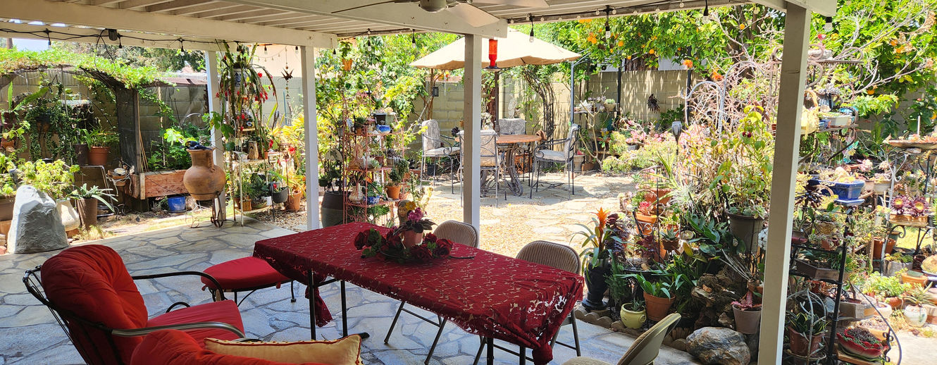 Designed for peace and serenity, this garden corner offers comfortable seating and a calming atmosphere — perfect for reading, conversation, or quiet moments.