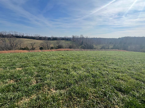 This farm for sale has an amazing view near Glasgow, KY and Barren County Kentucky.