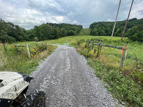 The driveway to land for sale near Tompkinsville, KY.