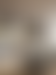 Luxury contemporary kitchen interior by Febal Casa, featuring grey cabinetry, marble island, warm lighting, open glass doors, and elegant indoor-outdoor living design