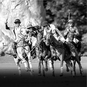 Greenwich Polo Club Sunday Public Polo Matches - Something for Everyone