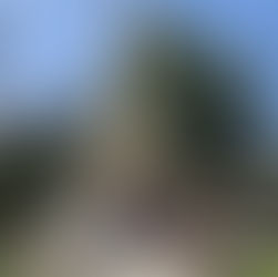 Le fotografie di chi c’è…c’è... - Sabato 11 aprile - le opere d'arte al Parco Ciani