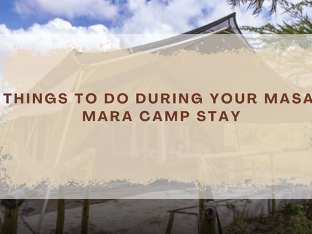 Authentic Adventures from Dawn to Dusk