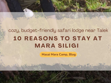 Why Mara Siligi Camp Feels Different From Other Safari Camps in Masai Mara