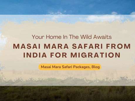 A Day in the Life at Mara Siligi Camp During Migration Season