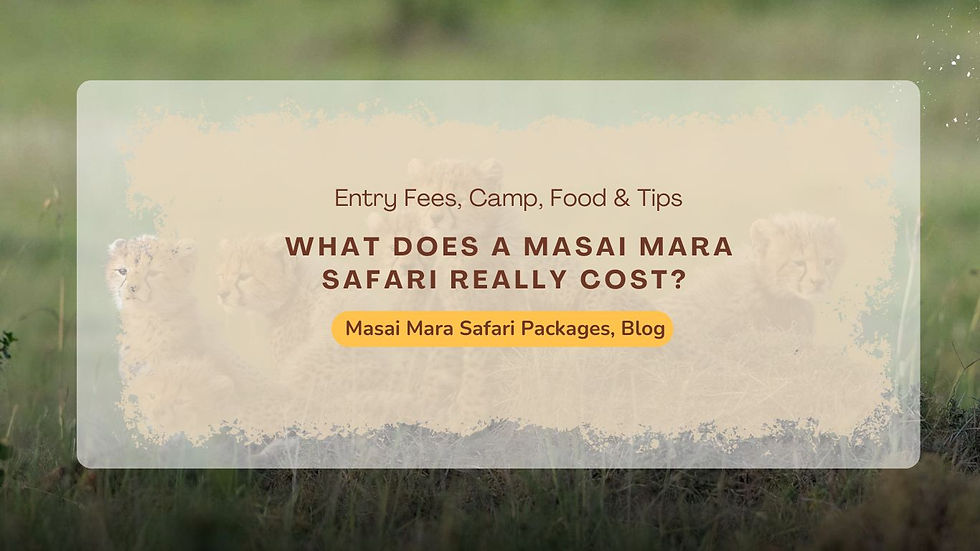 Optional Safari Experiences That Add Real Value