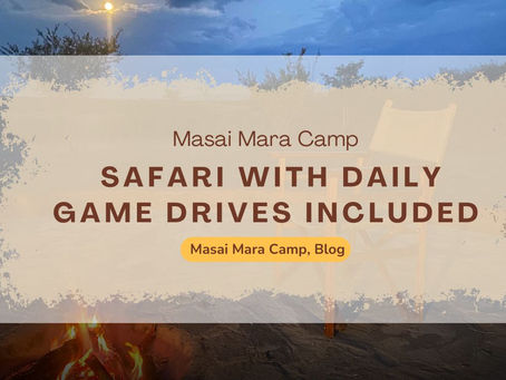 How to Blend Culture with Wildlife at Your Masai Mara Stay
