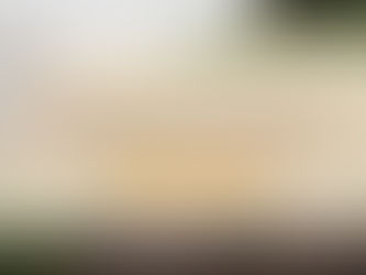 Romantic Getaway in the Wild