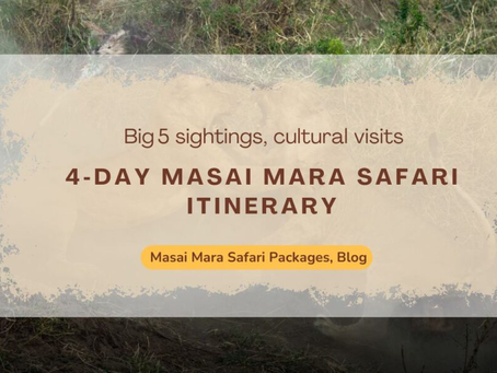 Birdwatching and Lesser-Known Wildlife in the Mara