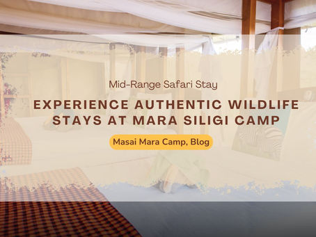 Solo Travelers’ Ideal Safari Base — Mara Siligi Camp
