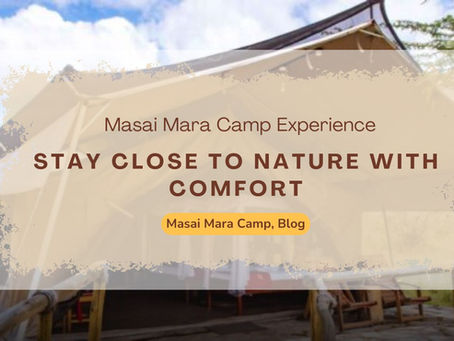 Best Masai Mara Stays for First-Time Safari Travelers