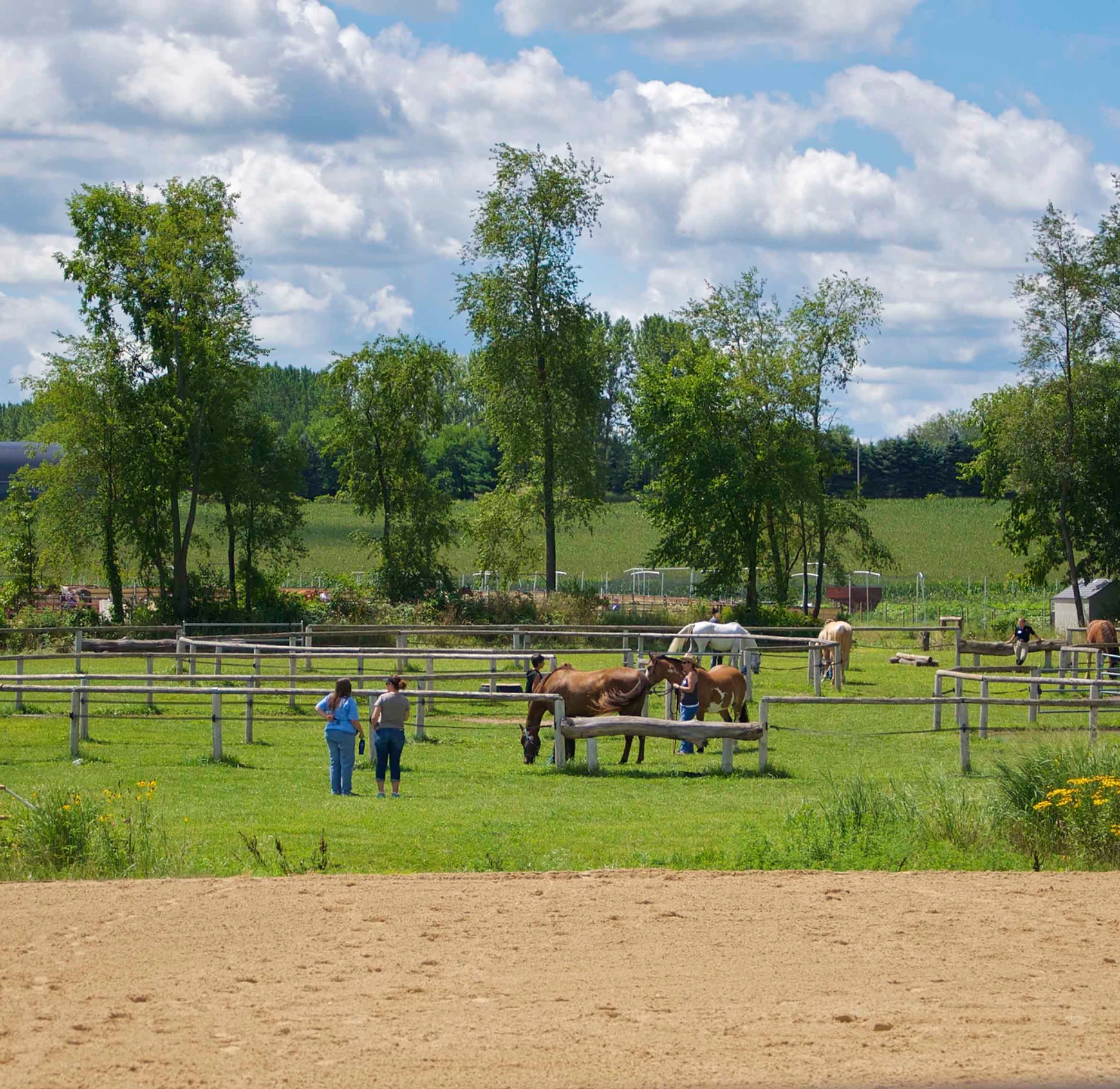 Connection Series Clinic: Brooklyn, WI