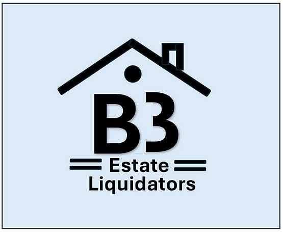 B3s Logo