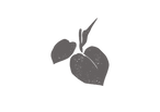logogrey.png