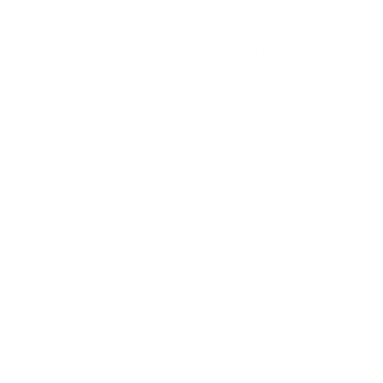Placeholder.png
