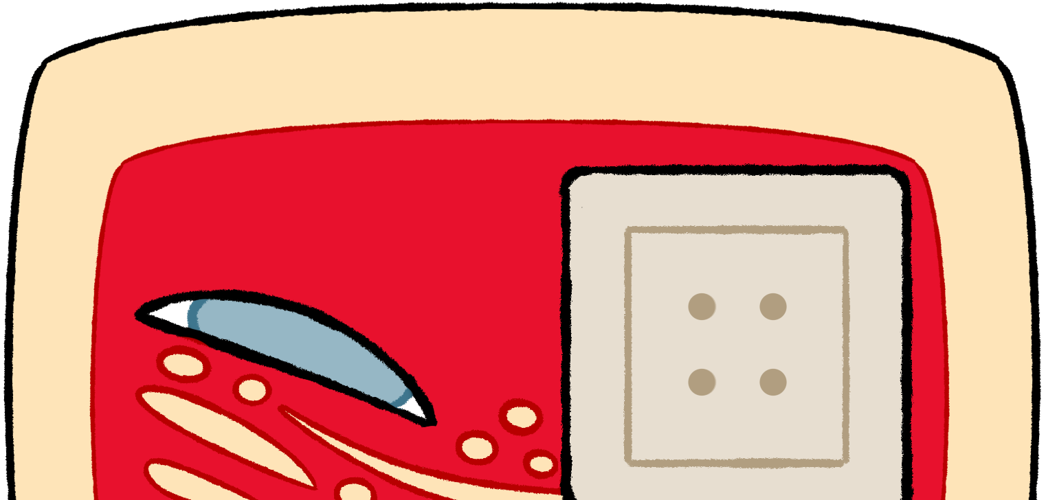 Preview.png