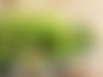 SALADA DE COUVE CRUA COM MANGA#molho#de#limão#