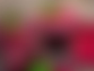 BETERRABA + MAÇÃ + LIMÃO + CENOURA + GENGIBRE...